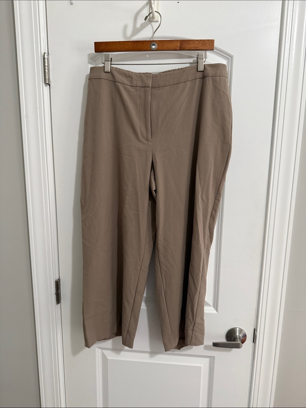 Susan Graver Wide-Leg Pants in Taupe